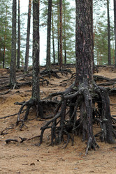 Similar image 22436226