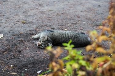 Similar image 22436227