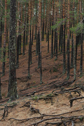 Similar image 22436228