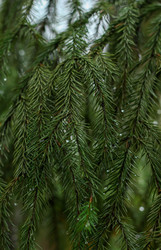 Similar image 22436229