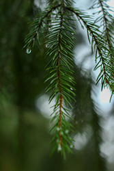 Similar image 22436230