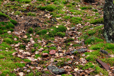 Similar image 22436231