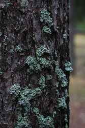 Similar image 22436237