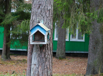 Similar image 22436238