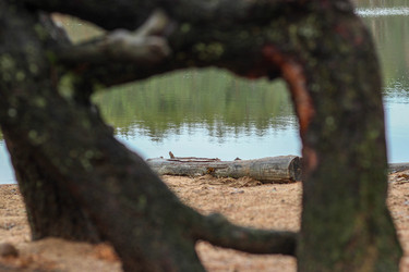 Similar image 22436239