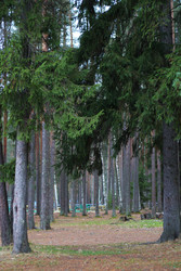 Similar image 22436241