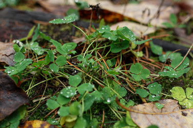 Similar image 22436242