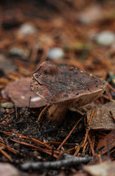 Similar image 22436244