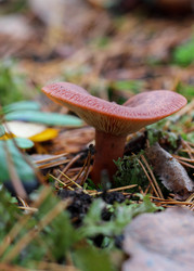 Similar image 22436245