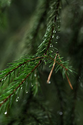 Similar image 22436246