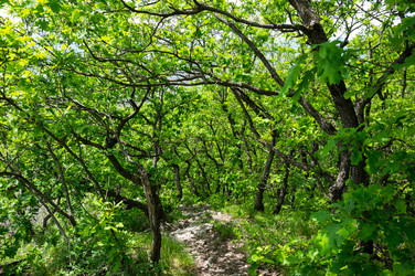 Similar image 22443283