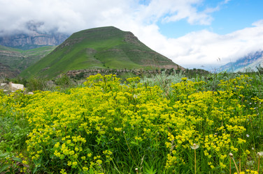 Similar image 22443492