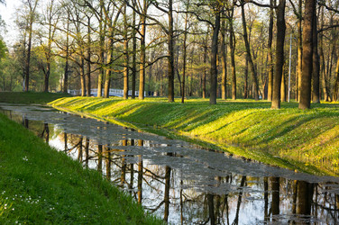 Similar image 22443493