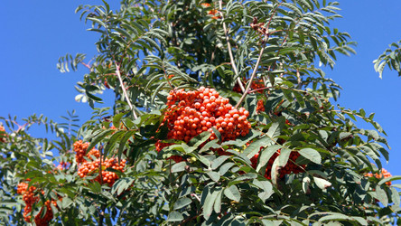 Similar image 22436194