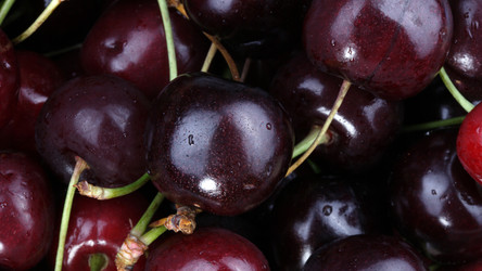 Similar image 22436200