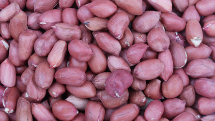 Similar image 22436201