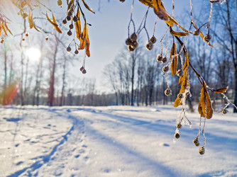 Similar image 22460763