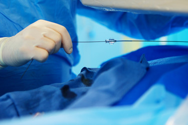 Similar image 22443166