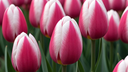 Similar image 22442706