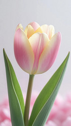 Similar image 22442715