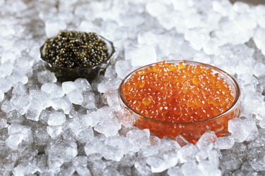 Similar image 22443168