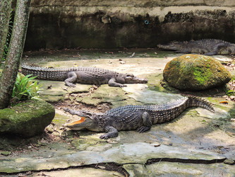 Similar image 22474845