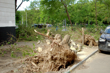 Similar image 22452255