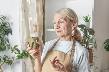 Similar image 22442478