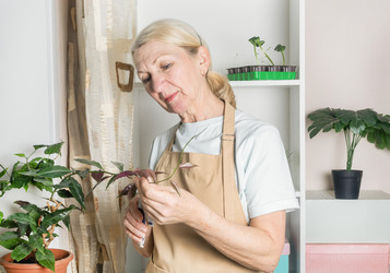 Similar image 22456446