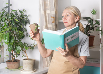 Similar image 22442479