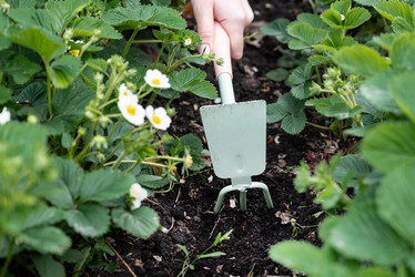 Similar image 22442653