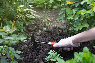 Similar image 22442657