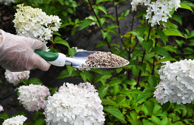 Similar image 22442659