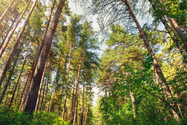 Similar image 22452257