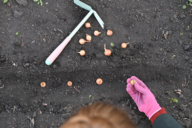 Similar image 22442663