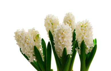 Similar image 22457599