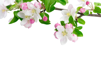 Similar image 22457600