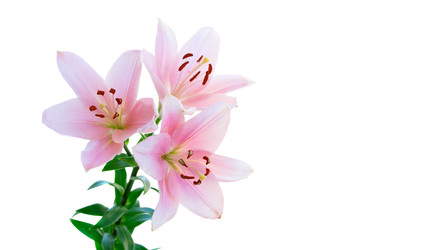 Similar image 22457601