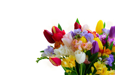 Similar image 22457612