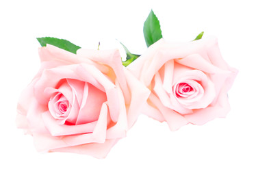 Similar image 22457613