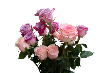 Similar image 22457628