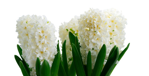 Similar image 22457631