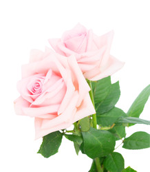 Similar image 22457643