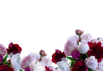 Similar image 22457659