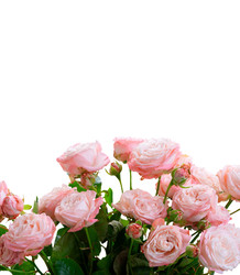 Similar image 22457672