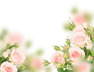 Similar image 22457674