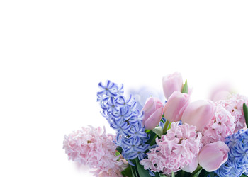 Similar image 22457890