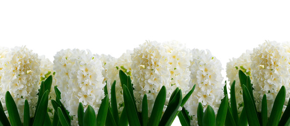 Similar image 22457891