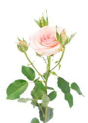 Similar image 22457905