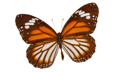 Similar image 22457906